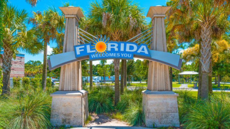 Florida is the Best State to Form LLC for E-commerce